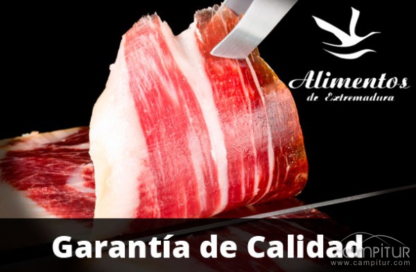 Jamón y Salud S.A 